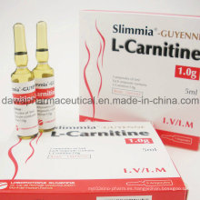 Buen efecto para la pérdida de masa corporal L-Carnitine Injection 1.0g